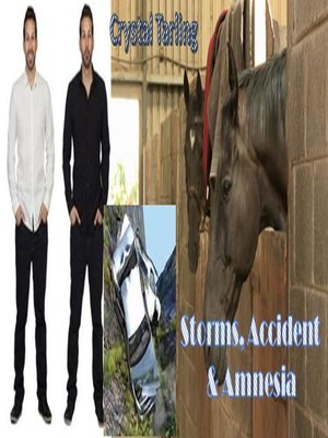 cover image of Storms, Accident & Amnesia